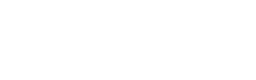 Partner 4
