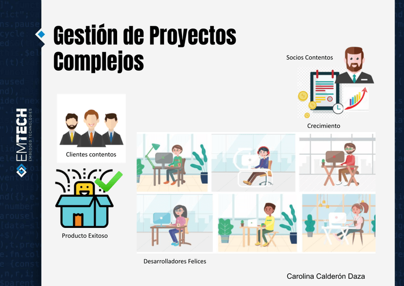 Management of complex projects